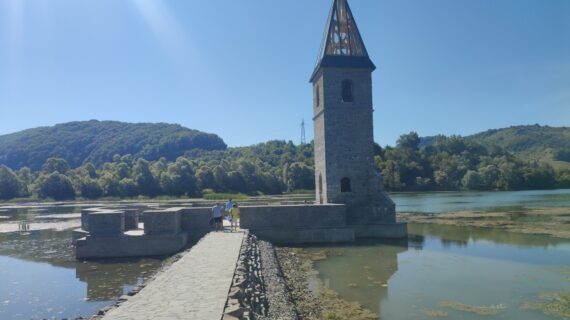Img 20240811 103646 (1)