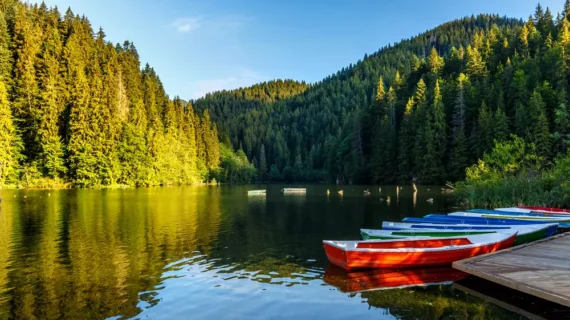 Gyilkosto shutterstock 685314811